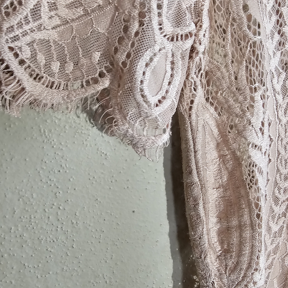☆ ZARA Short Sleeve Baby Pink Sheer Lace Top, S ☆ - Picture 6 of 7